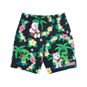 Black Ripndip Aloha Nerm Swim Shorts | USAHK2835