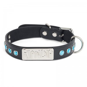 Black Ripndip Lord Nermal Studded Pet Collar Accessories | USARW2237