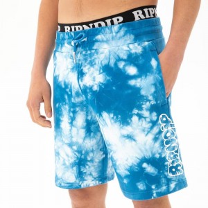 Blue Wash Ripndip Ripntail Sweat Shorts | USAWY2823