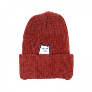 Brown Ripndip Lord Nermal Beanie | USAZG2902