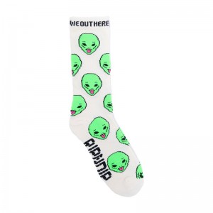 Cream Ripndip We Out Here Socks | USALH2333