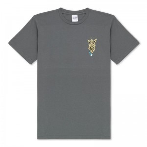 Grey Ripndip RIPNLIT Shirts | USAIS2791