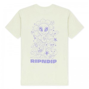 Light Green Ripndip Dance Forever Shirts | USAEX2778