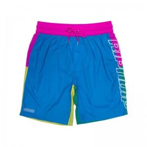 Multicolor Ripndip Perfect Shade Swim Shorts | USAQZ2798