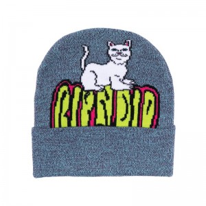 Purple Ripndip Psychedelic Beanie | USALH2903