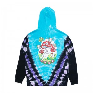 Purple / Blue Ripndip Promised Land Hoodie | USAUT2423