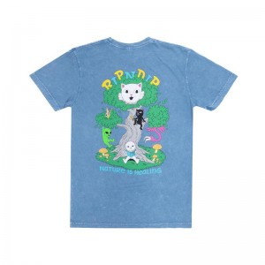 Wash Ripndip Adventure Club Shirts | USABC2756