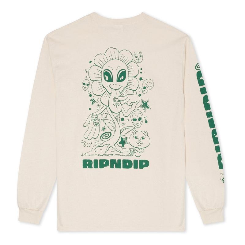 Beige Ripndip Dance Forever Long Sleeve | USAQZ2585