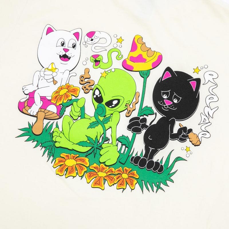 Beige Ripndip Friday Jr Shirts | USARW2653