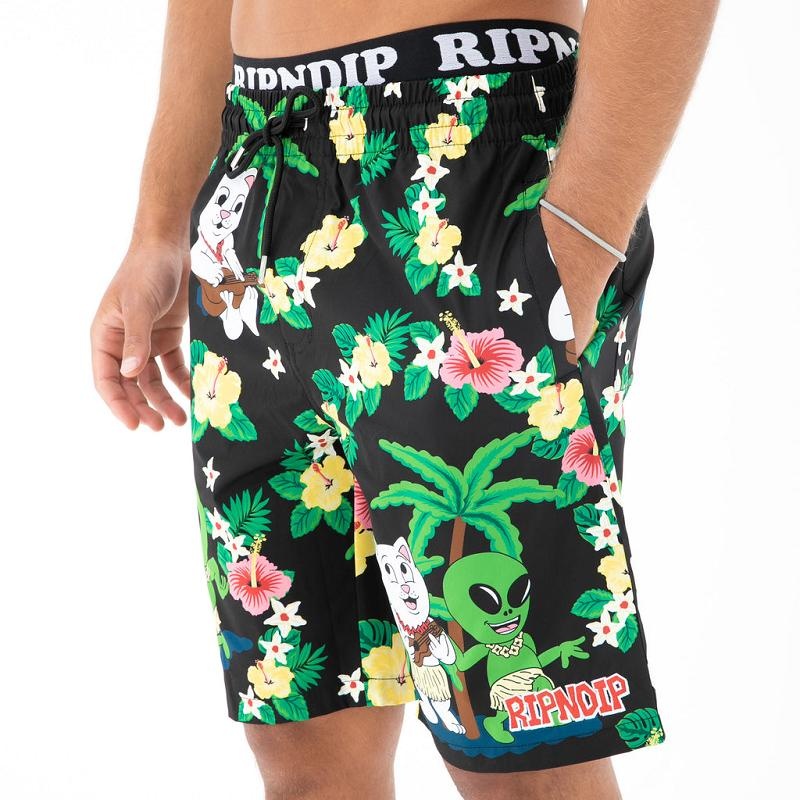 Black Ripndip Aloha Nerm Swim Shorts | USAHK2835