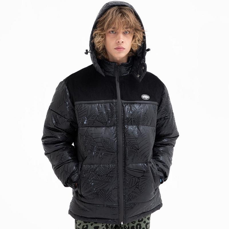 Black Ripndip Griffith Hooded Puffer Jackets | USAMA2508