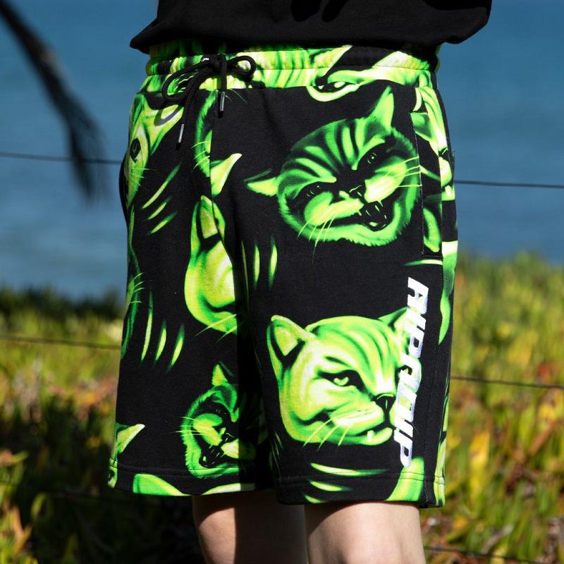 Black Ripndip Neon Cat Sweat Shorts | USAMA2799