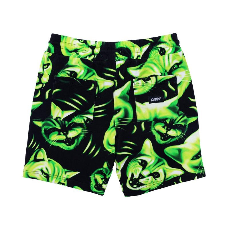 Black Ripndip Neon Cat Sweat Shorts | USAMA2799