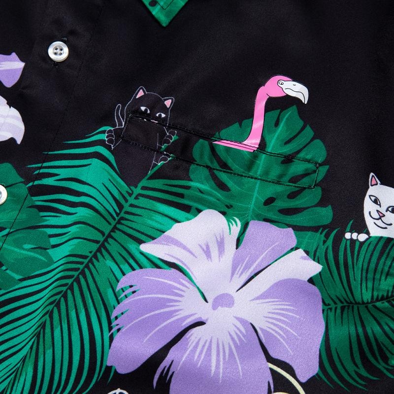 Black Ripndip Pablo Button Up T Shirts | USARW2892