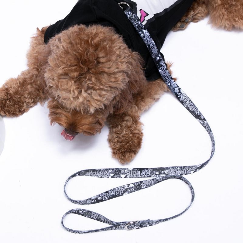 Black / White Ripndip Dark Twisted Fantasy Pet Leash Accessories | USANB2206