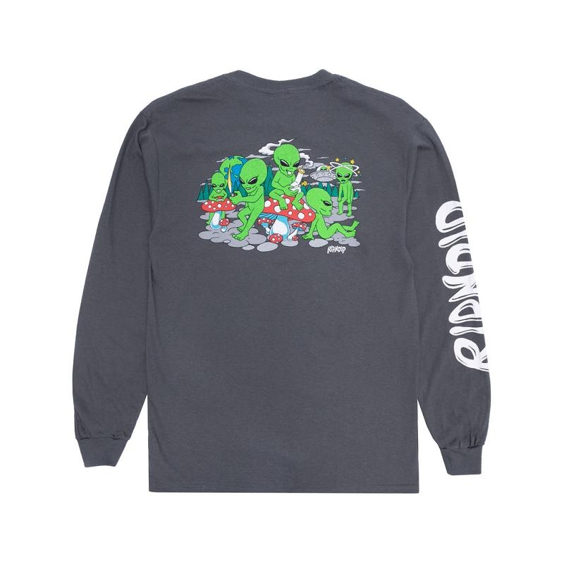 Grey Ripndip Space Gang Long Sleeve | USAUT2579