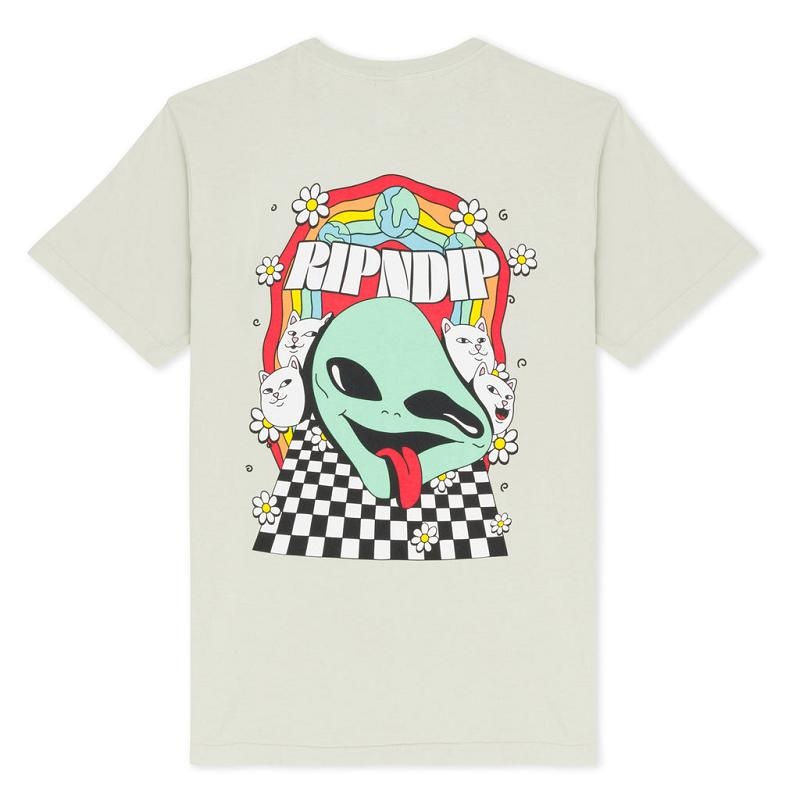 Olive Ripndip Looking Glass Shirts | USAAP2770