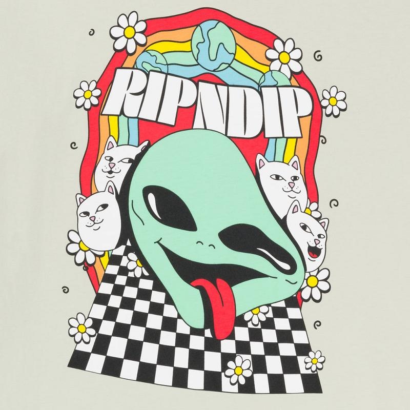 Olive Ripndip Looking Glass Shirts | USAAP2770