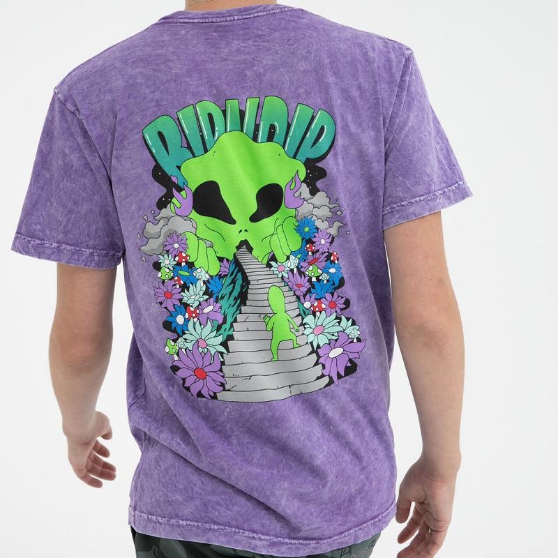 Purple Wash Ripndip The Unknown Shirts | USACE2732