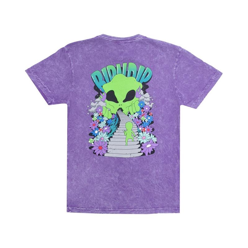 Purple Wash Ripndip The Unknown Shirts | USACE2732