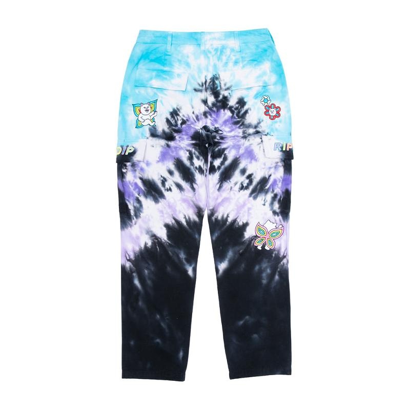 Purple / Blue Ripndip Promised Land Cargo Pants | USAUT2605