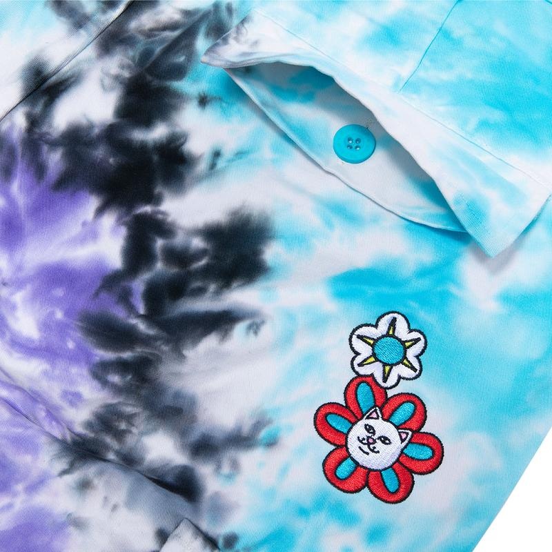 Purple / Blue Ripndip Promised Land Cargo Pants | USAUT2605