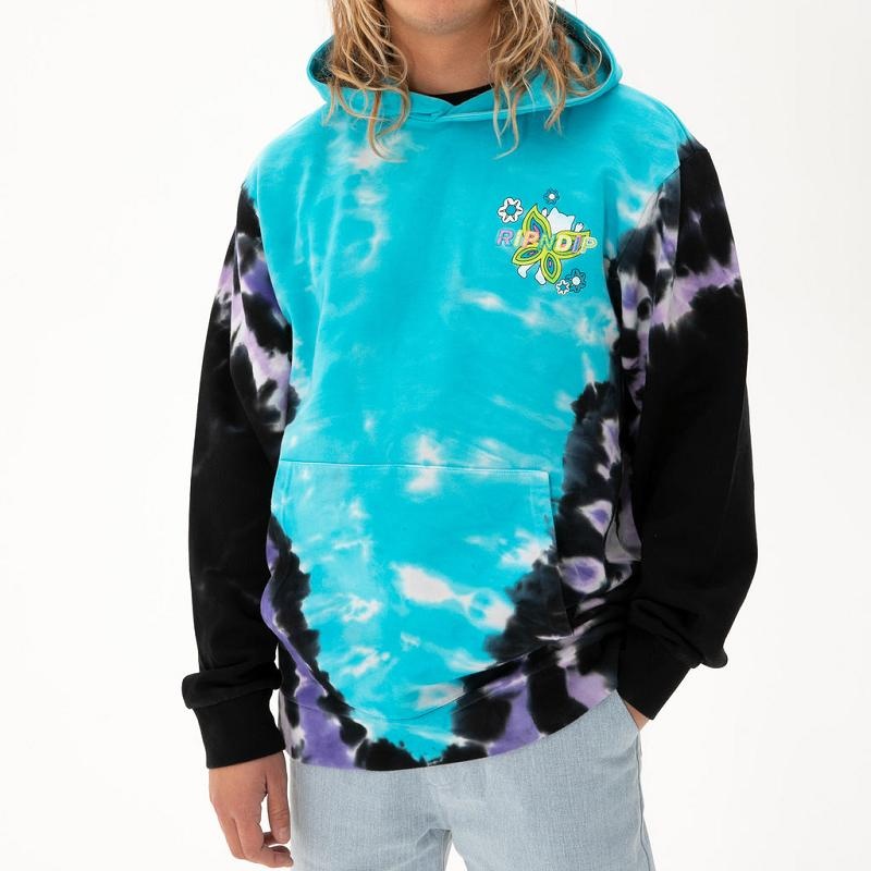 Purple / Blue Ripndip Promised Land Hoodie | USAUT2423