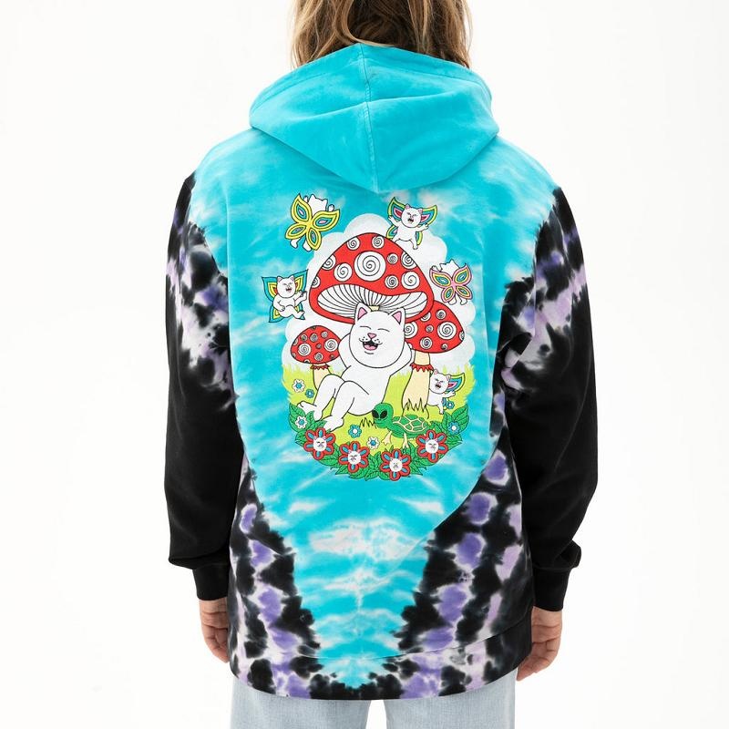 Purple / Blue Ripndip Promised Land Hoodie | USAUT2423