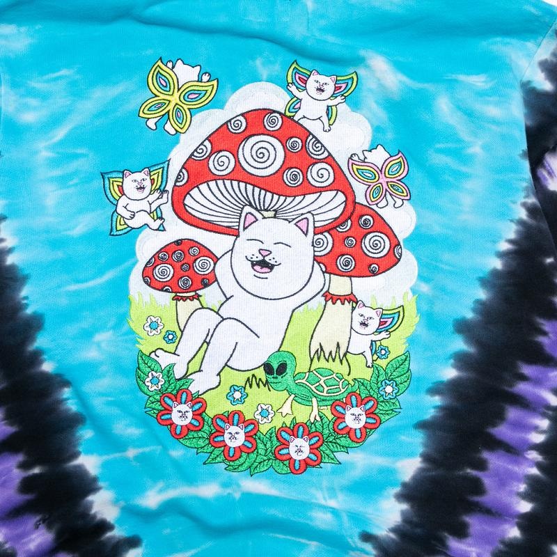 Purple / Blue Ripndip Promised Land Hoodie | USAUT2423