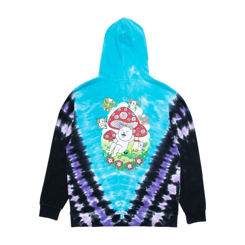 Purple / Blue Ripndip Promised Land Hoodie | USAUT2423