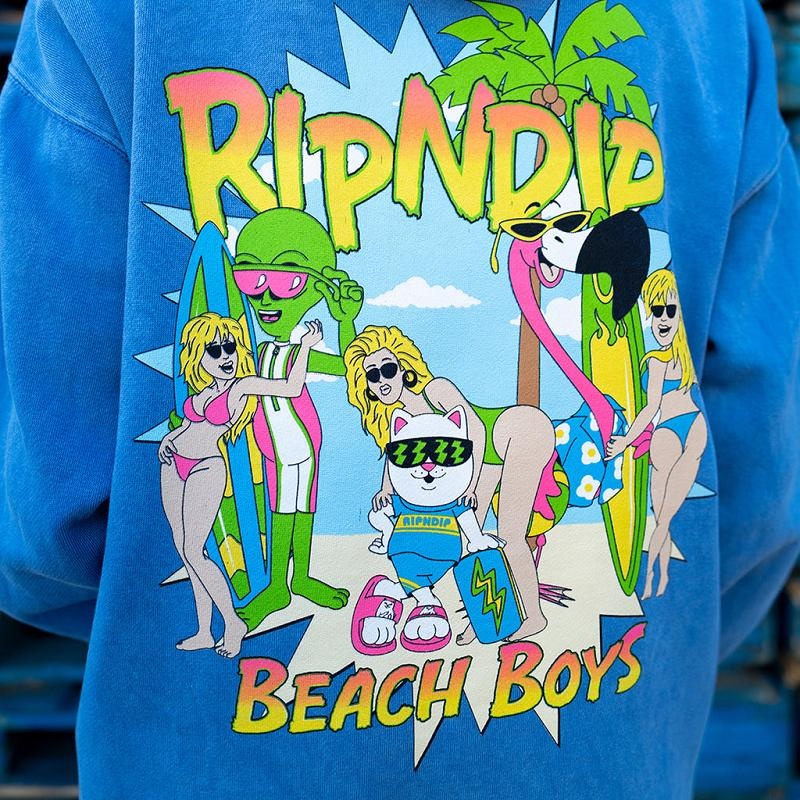 Wash Ripndip Beach Boys Hoodie | USAJJ2439